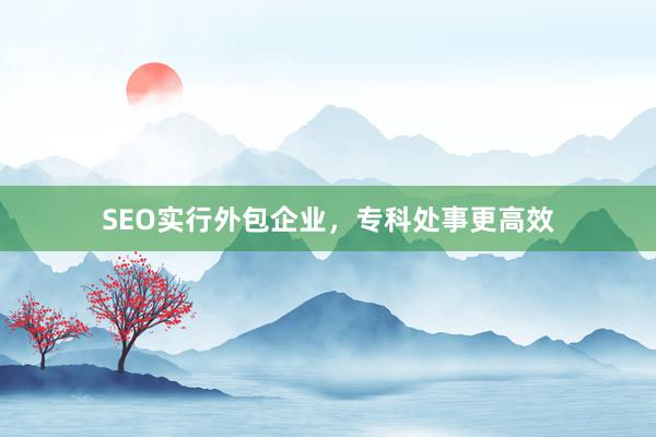 SEO实行外包企业，专科处事更高效