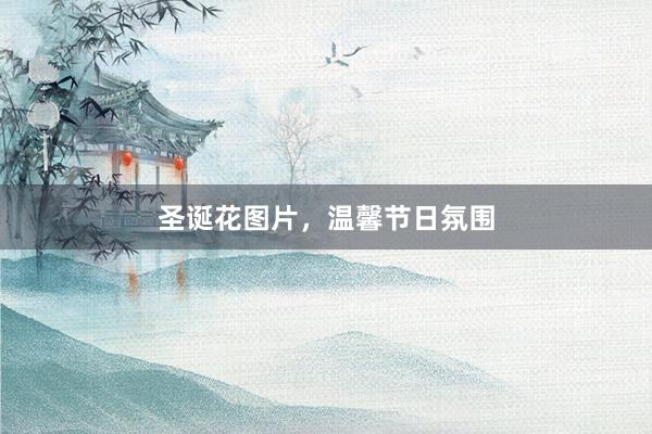 圣诞花图片，温馨节日氛围